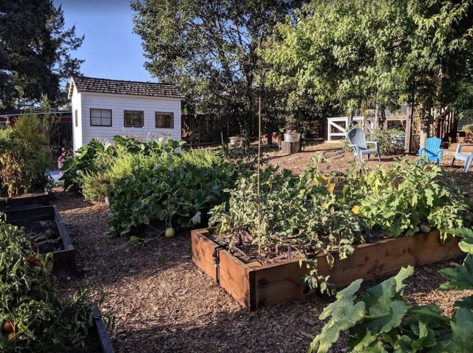 Full color image of a California-based Accessory Dwelling Unit (ADU), Napa Valley 2020