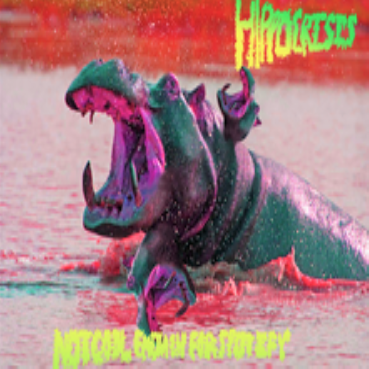 Full color image of Hippocrisis album cover including an actual hippopotamus