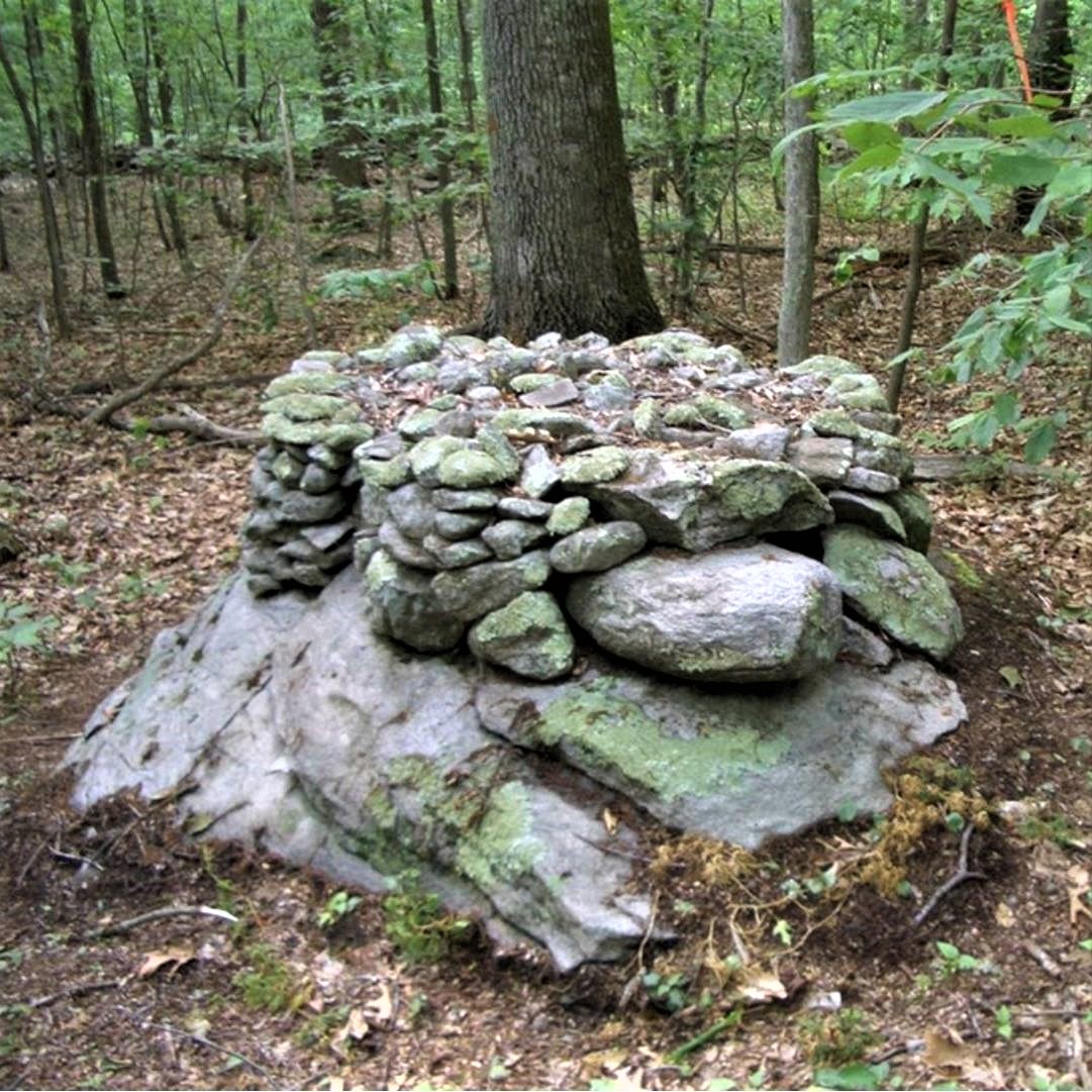TURTLECeremonialStoneLanscape A Full color image of a Native American Turtle Stone Effigy in New England